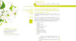Desktop Screenshot of fleurs-de-bach-lyon.com